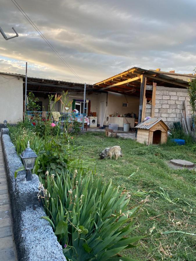 Mamuka'S Guesthouse Udabno ภายนอก รูปภาพ