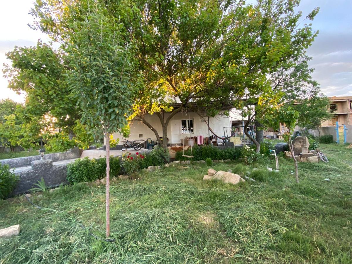 Mamuka'S Guesthouse Udabno ภายนอก รูปภาพ