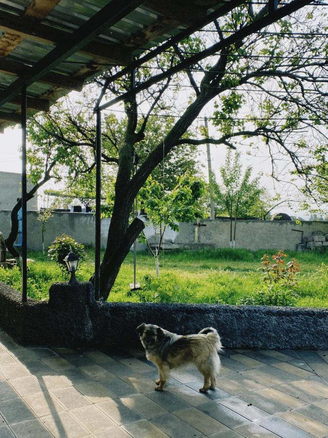 Mamuka'S Guesthouse Udabno ภายนอก รูปภาพ